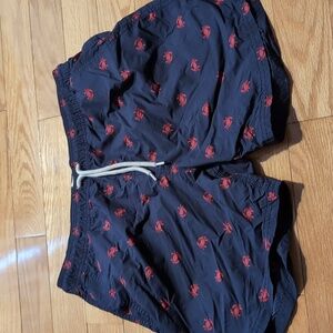 J Crew Swim Shorts